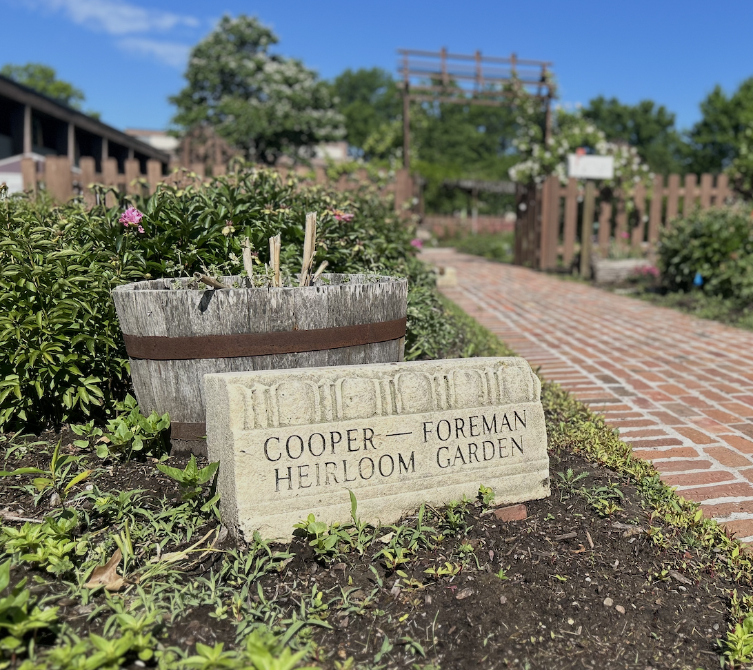 Cooper-Foreman Heirloom Gardens